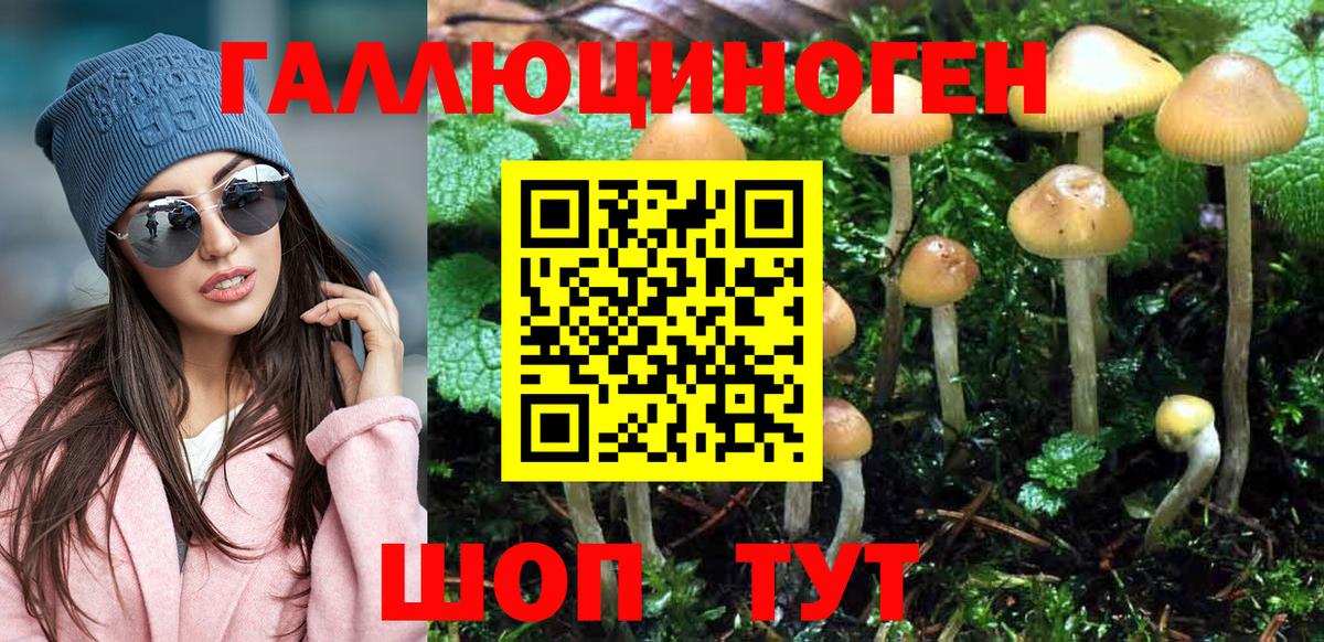 где найти наркотики  Вход с VPN  Скопин  Галлюциногенные грибы мухоморы 
