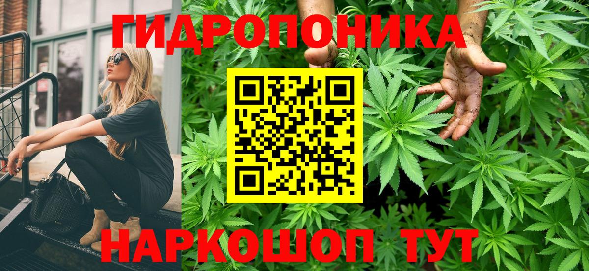 Псилоцибиновые грибы Скопин